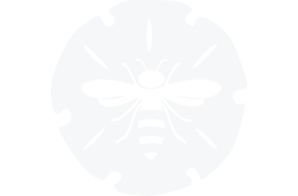 Beach Bee Scrolled light version of the logo (Link to homepage)