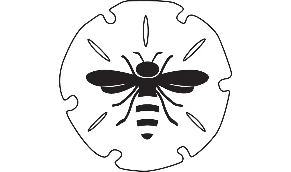 Beach Bee Logo (Link to homepage)