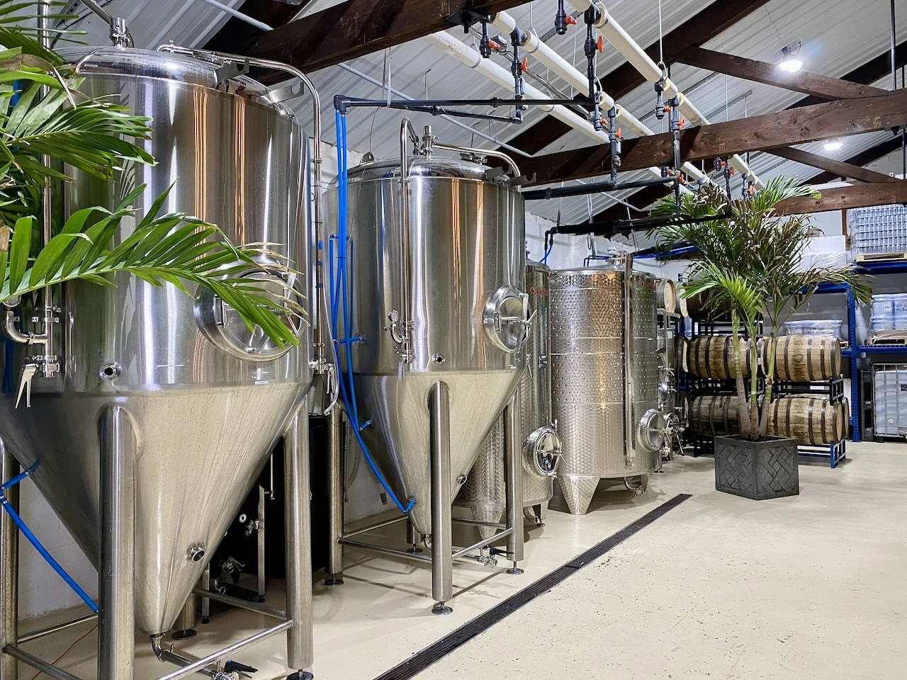 Close-up of small-batch mead and hard cider fermentation process at Beach Bee Meadery using natural ingredients